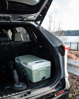 Cargo Freezer